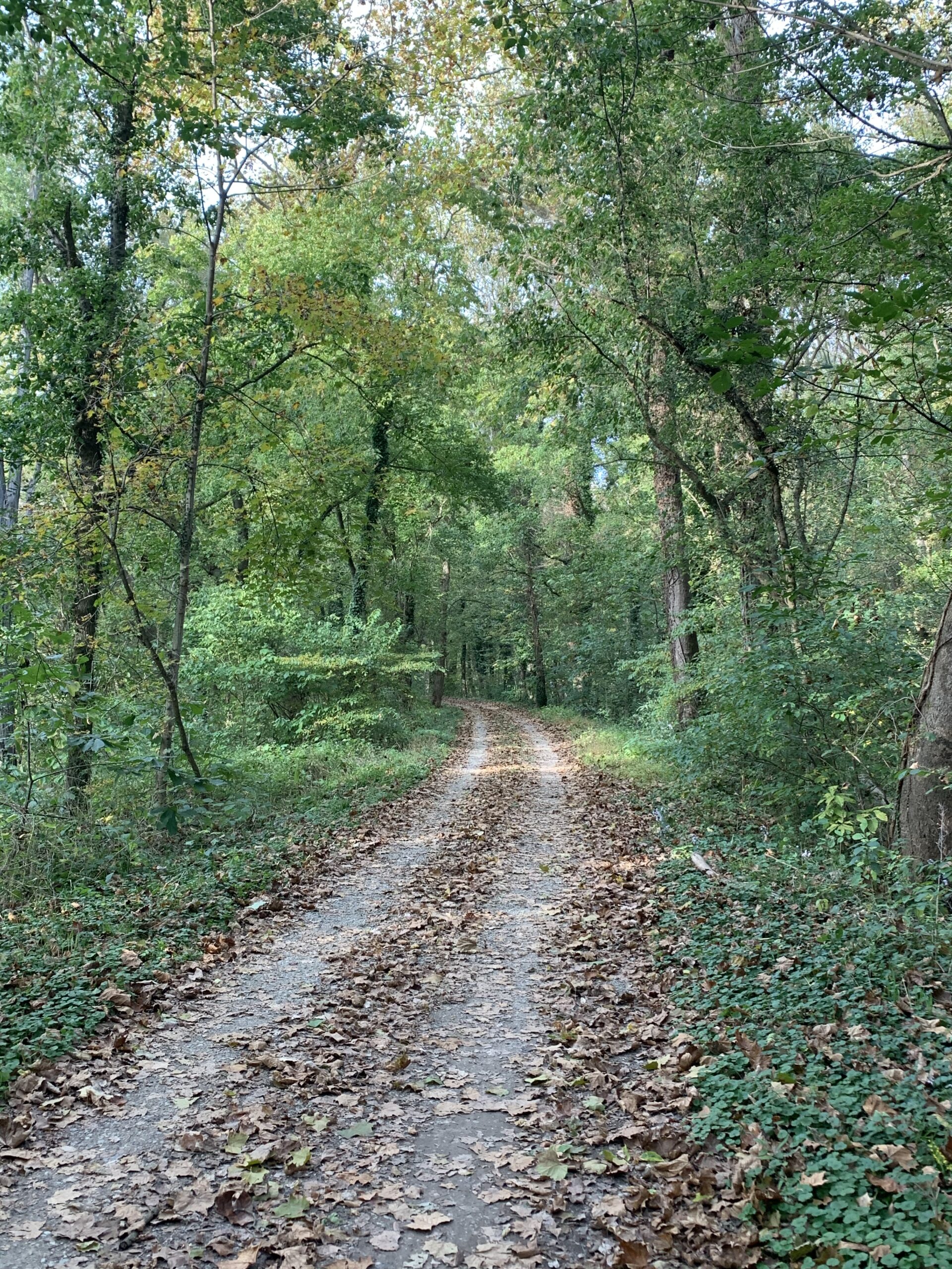 From Behavioral Health to Product Strategy: Pivoting with Purpose
