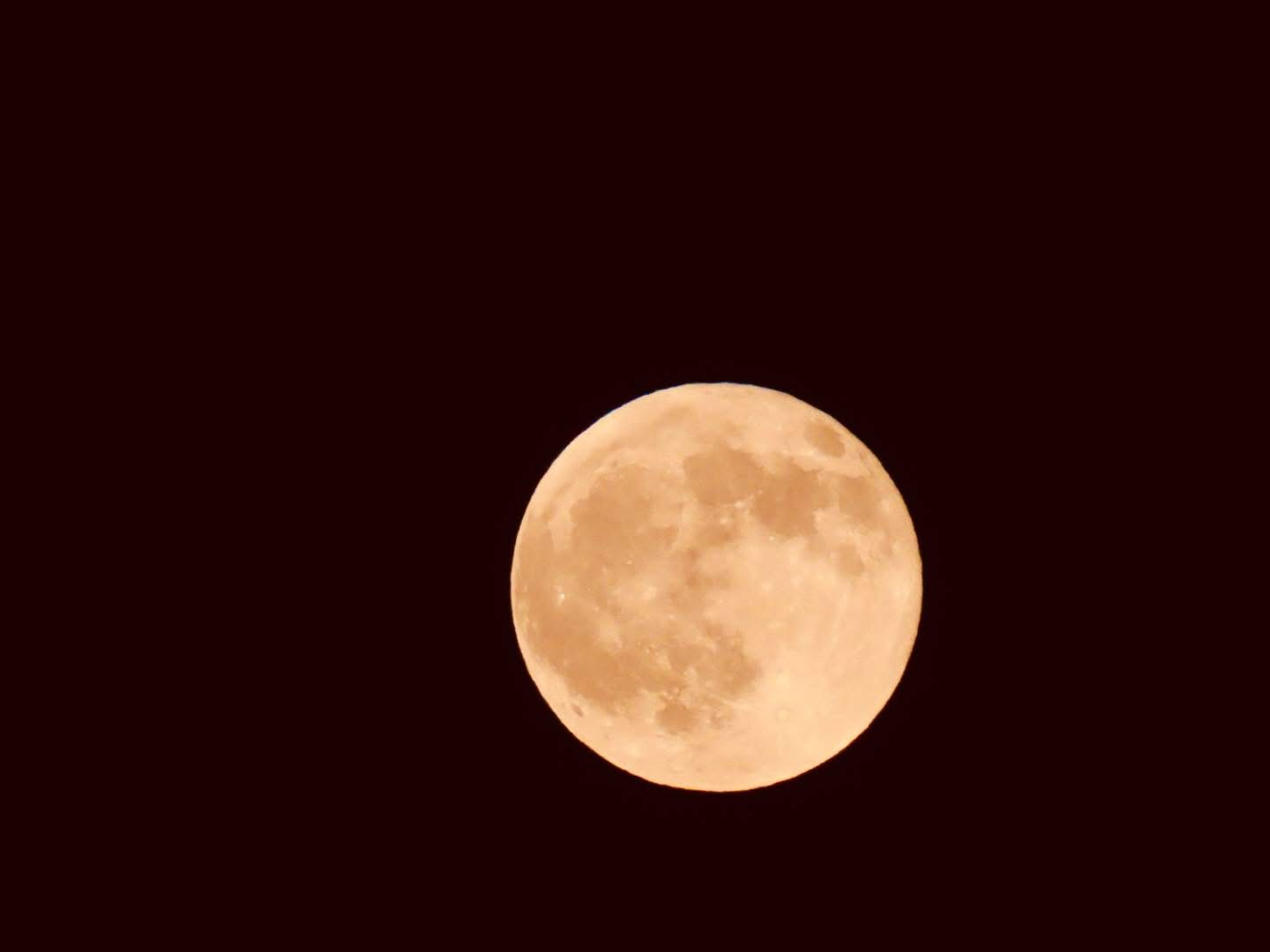 🌙 Like the Moon, We Return: Yoga, Leadership, and Beginning Again