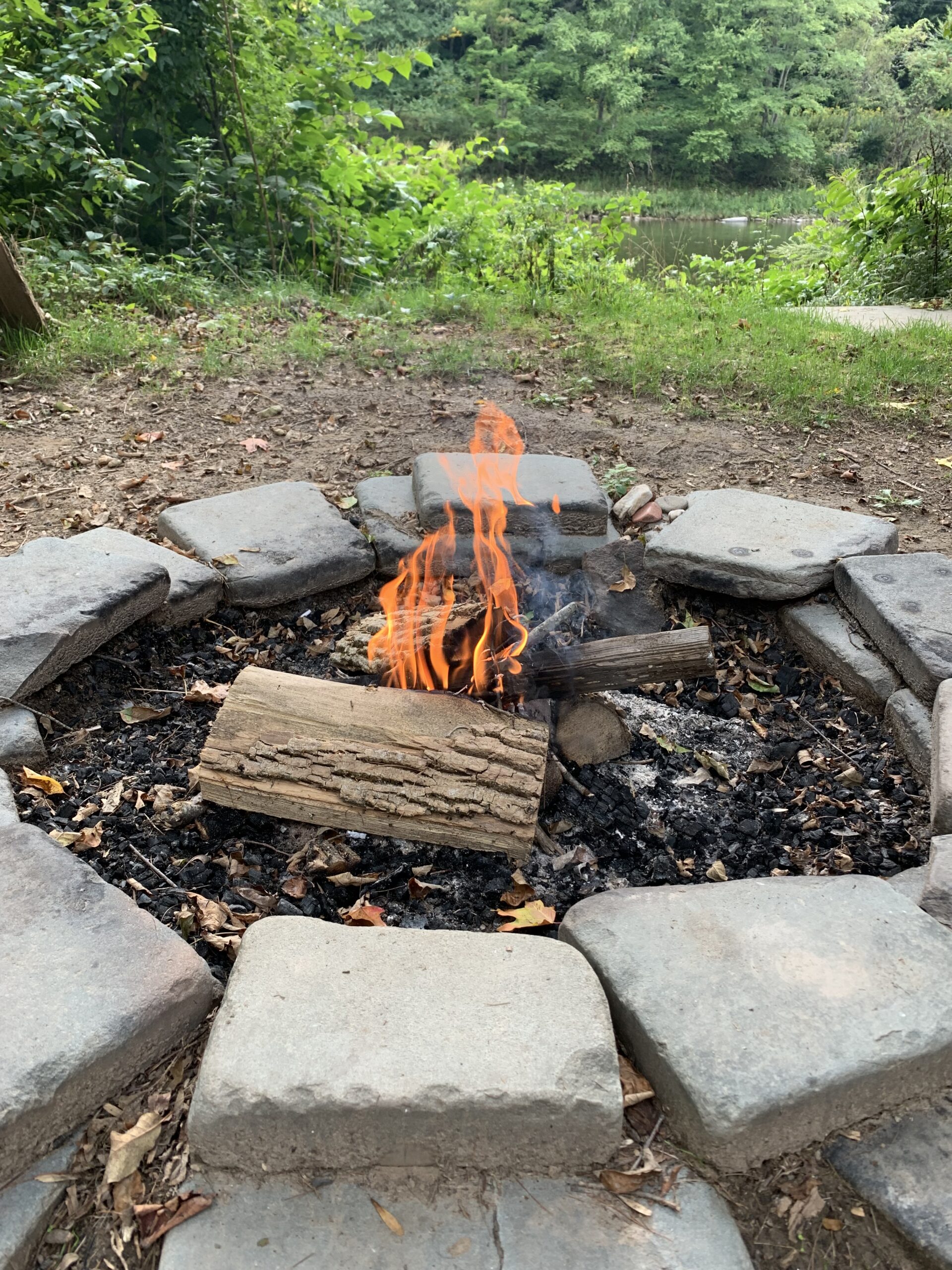 Autumn’s Wisdom: A Season for Reflection and Renewal