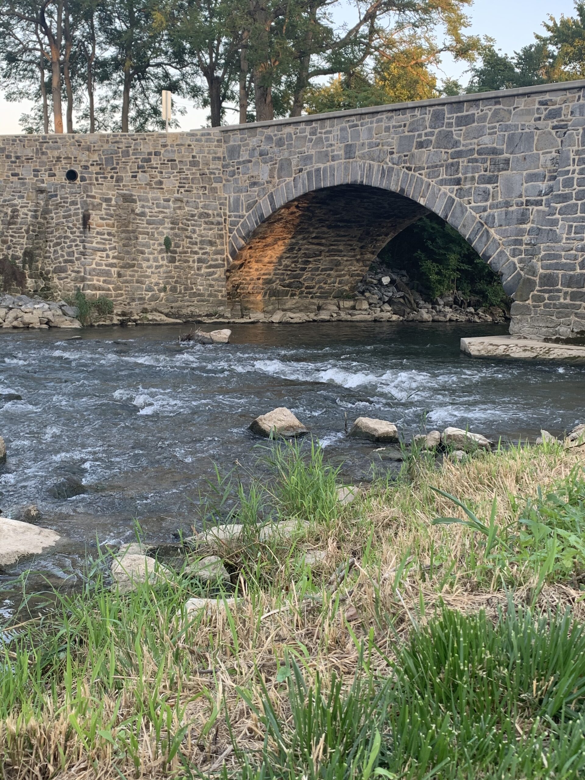 Bridging Worlds: Reflections on a Career as a Professional Unicorn