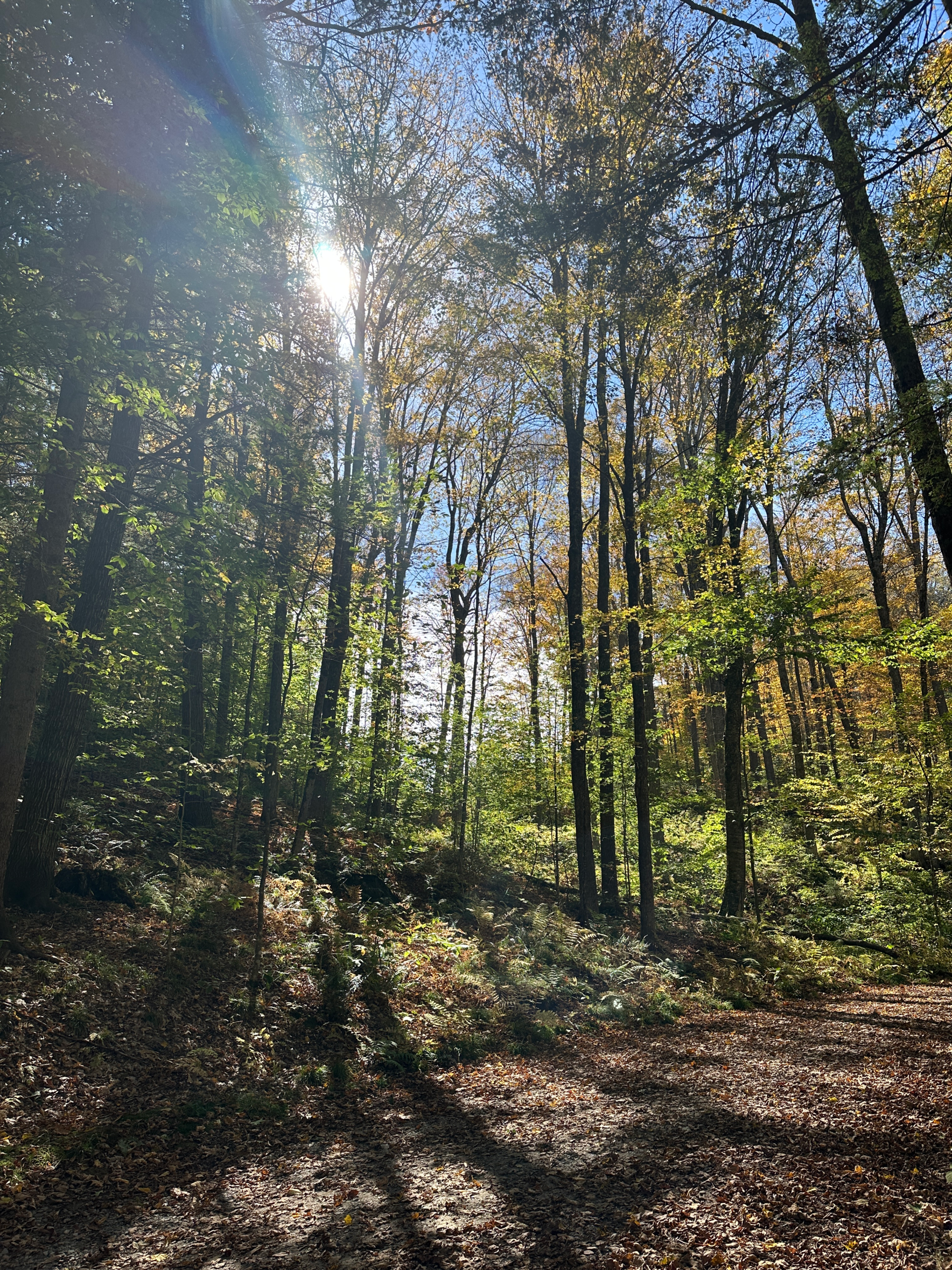 The Beauty of Letting Go: Reflections on Bold Leadership and Thriving