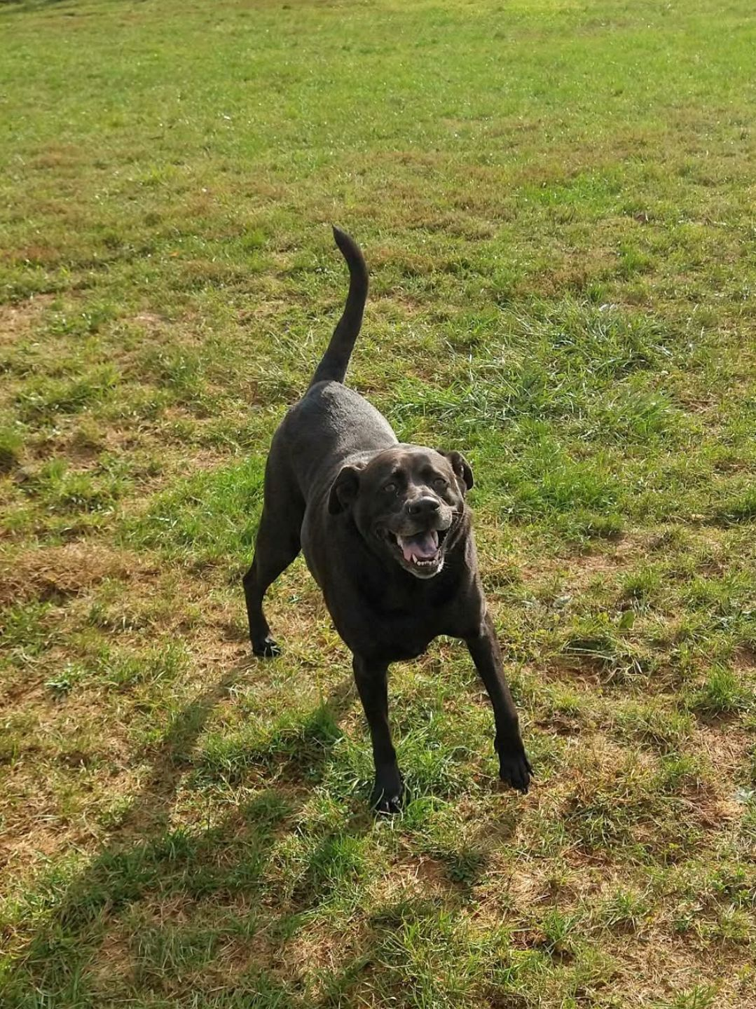 Leadership Lessons from My Chief Happiness Officer